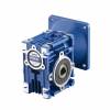 Worm Gearhead (Hộp số)BL-BR-BRL-WHD DC&AC - anh 4